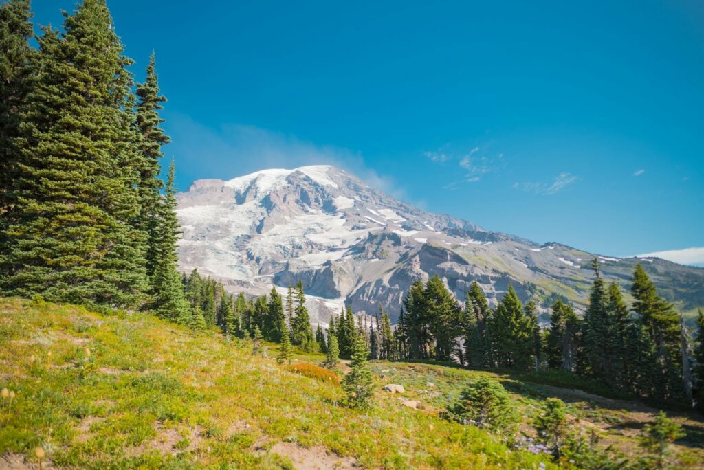 Best Places to Hike in Seattle: Trails for Every Skill Level